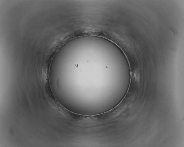 X0000114081348200910191534