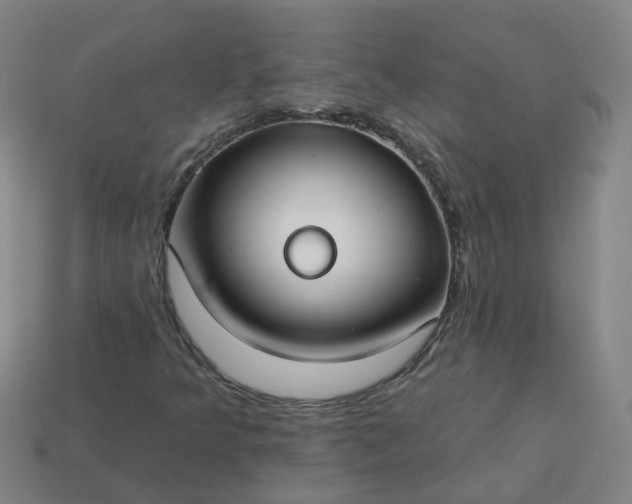 X0000114081349200910191534