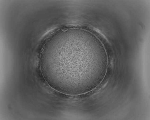 X0000114081350200910191534