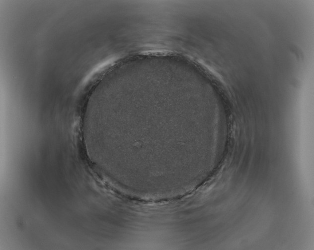 X0000114081351200910191534