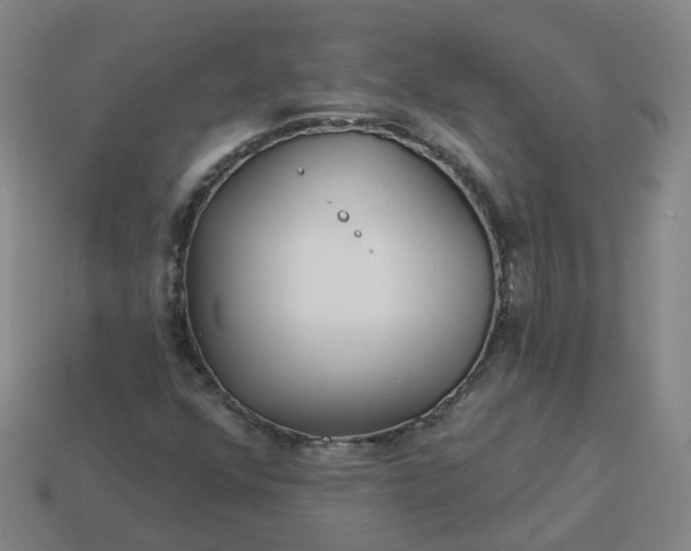 X0000114081352200910191534