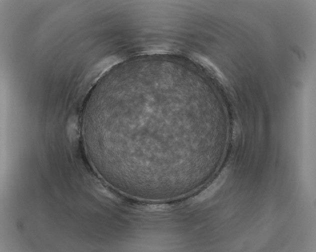 X0000114081353200910191534