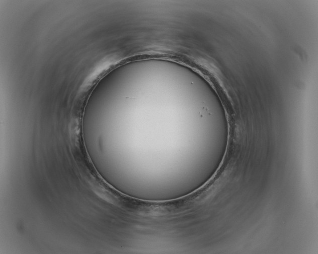 X0000114081355200910191534