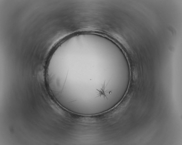 X0000114081356200910191534