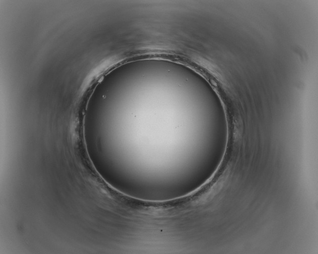 X0000114081357200910191534