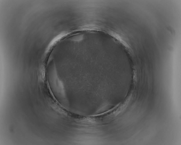 X0000114081358200910191534