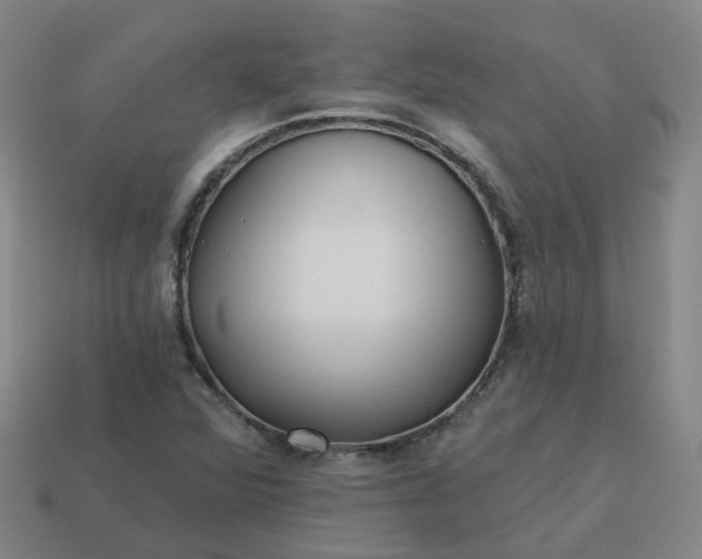 X0000114081360200910191534