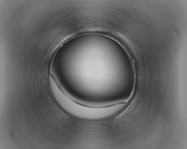 X0000114081361200910191534