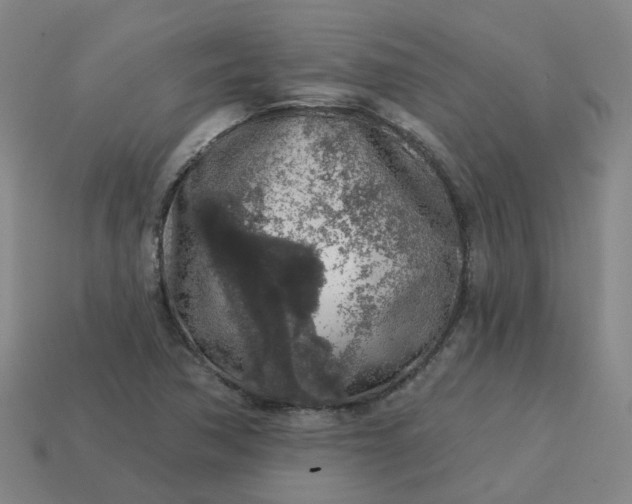 X0000114081362200910191534