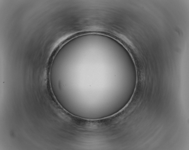 X0000114081364200910191534