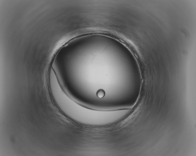 X0000114081365200910191534