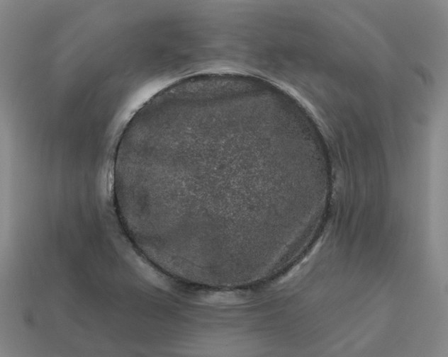 X0000114081367200910191534