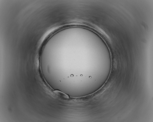 X0000114081368200910191534