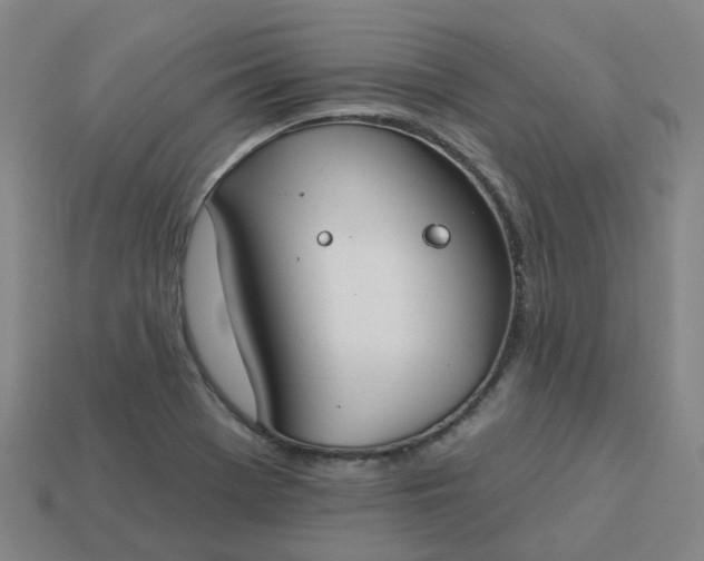 X0000114081369200910191534