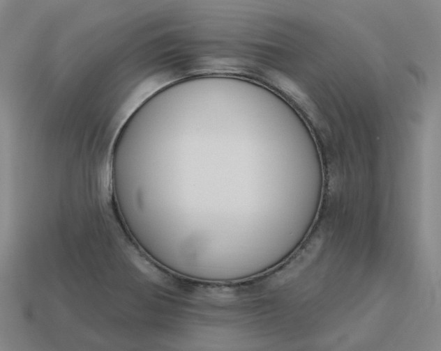 X0000114081370200910191533