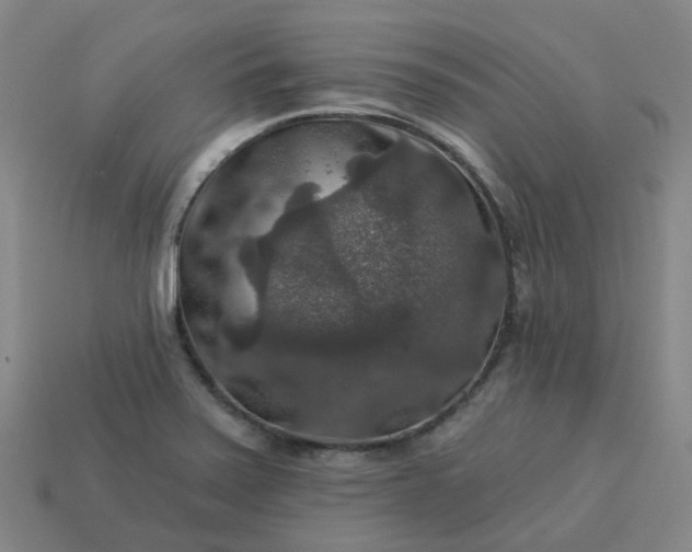 X0000114081371200910191533