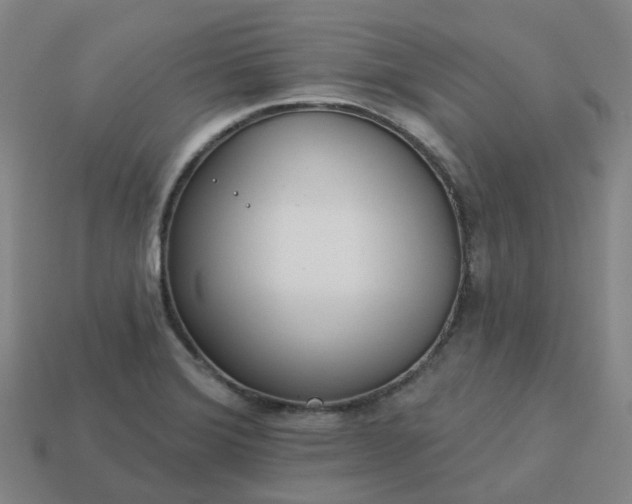 X0000114081372200910191533