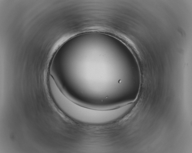 X0000114081373200910191533