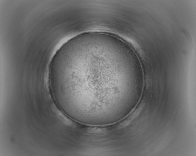 X0000114081374200910191533