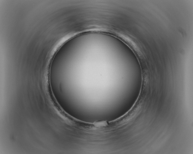 X0000114081375200910191533