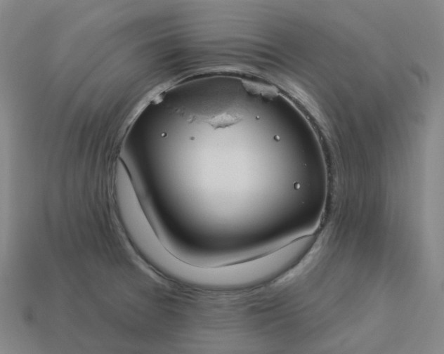 X0000114081377200910191533