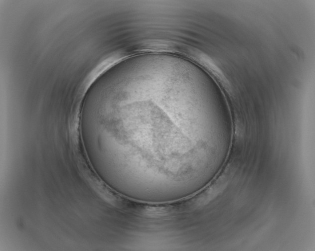 X0000114081378200910191533