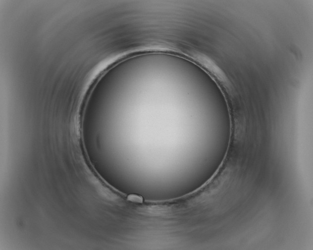 X0000114081380200910191533