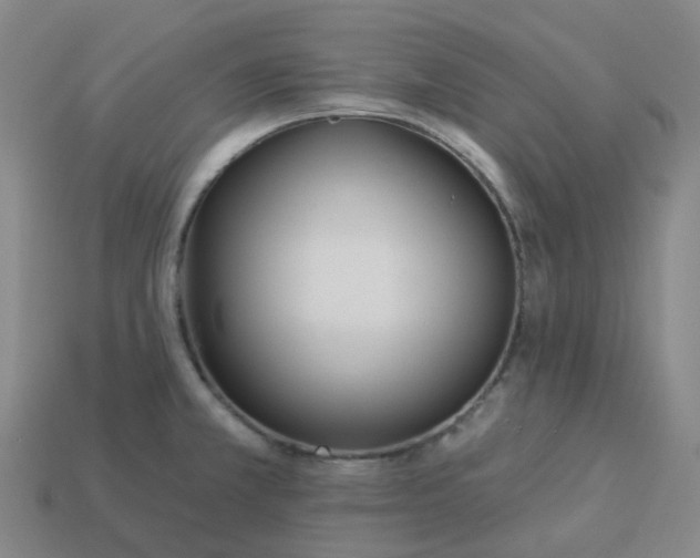 X0000114081381200910191533