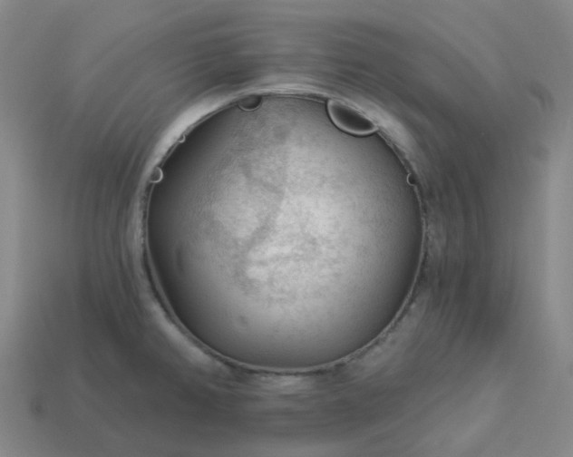 X0000114081382200910191533