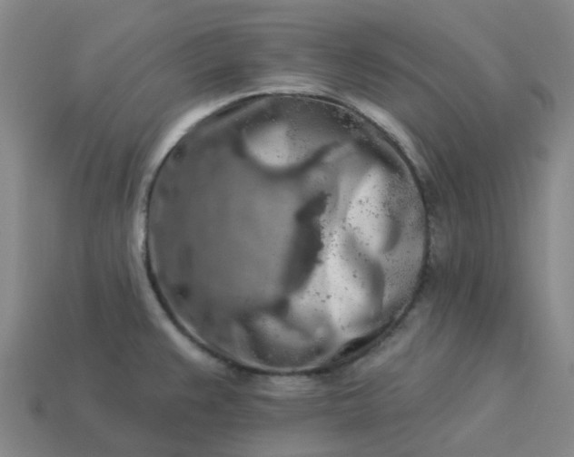 X0000114081383200910191533