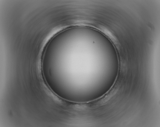 X0000114081384200910191533