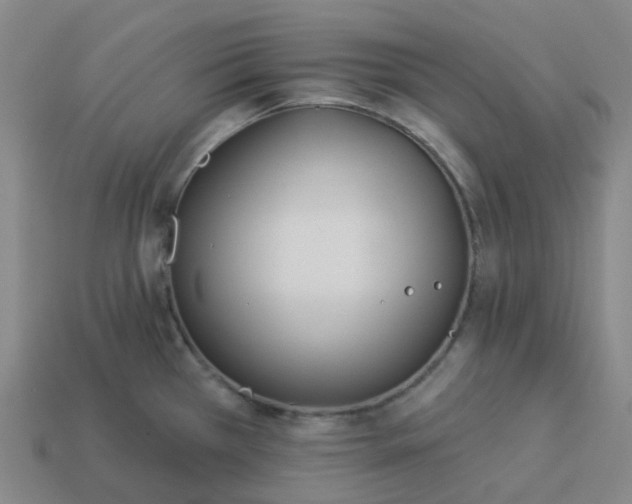 X0000114081385200910191533