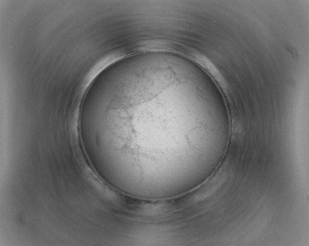 X0000114081386200910191533