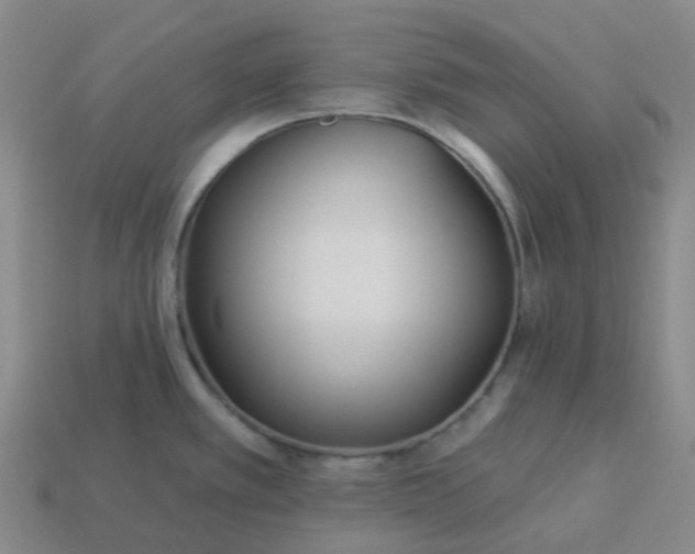 X0000114081389200910191533