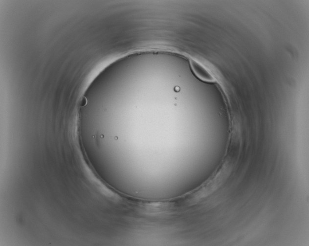 X0000114081390200910191533