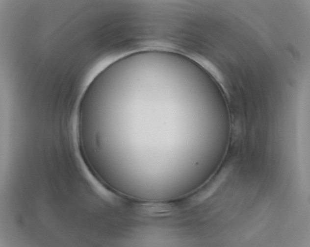 X0000114081391200910191533