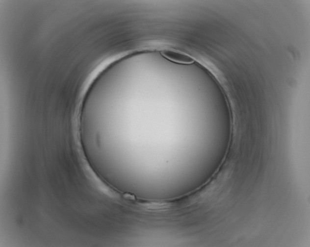 X0000114081392200910191533