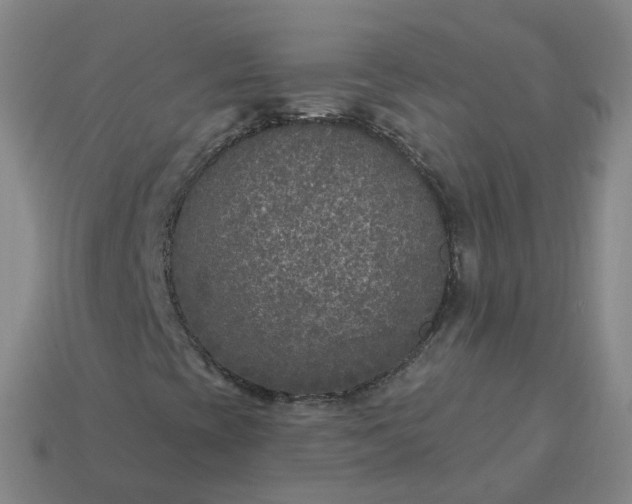 X0000114081393200910191533