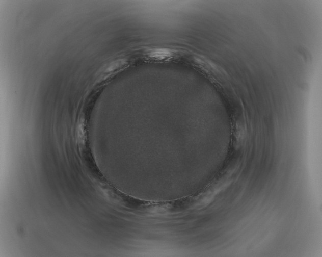 X0000114081394200910191533