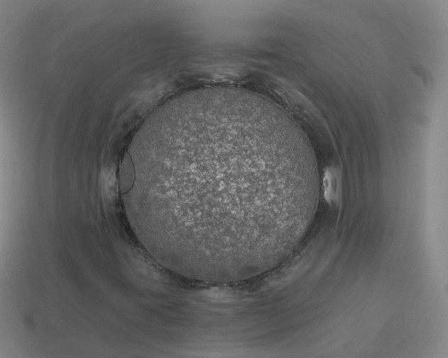 X0000114081395200910191533