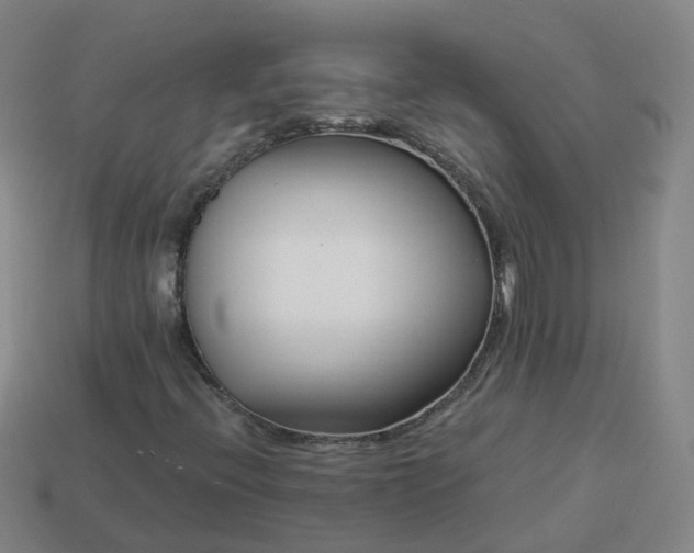 X0000114081396200910191533