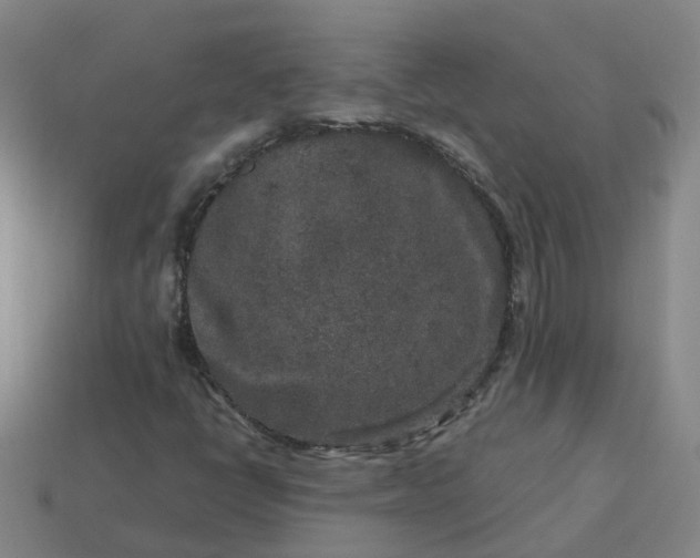 X0000114081398200910191533