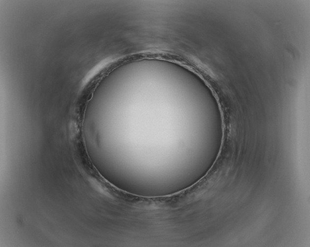 X0000114081400200910191533