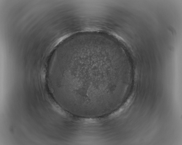 X0000114081401200910191533