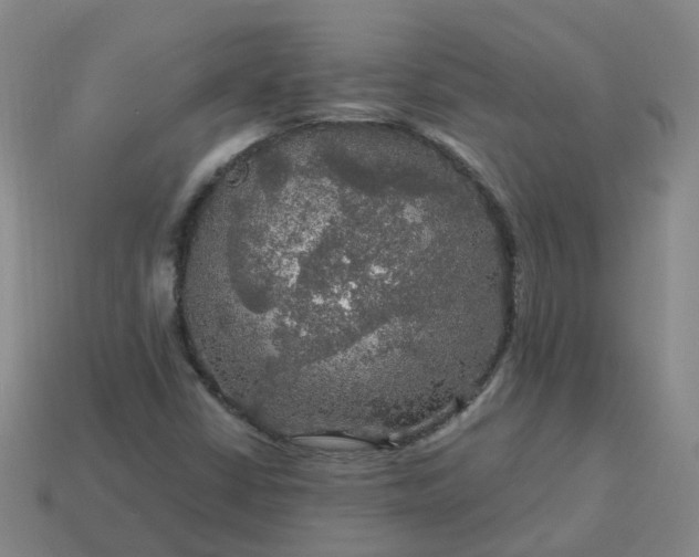 X0000114081402200910191533