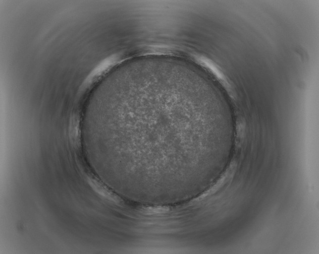 X0000114081403200910191533