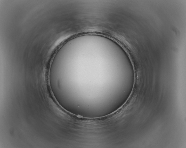 X0000114081404200910191533