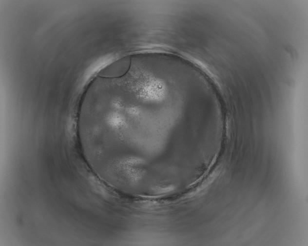 X0000114081405200910191533