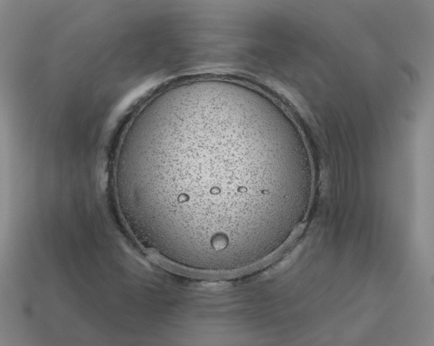 X0000114081406200910191533