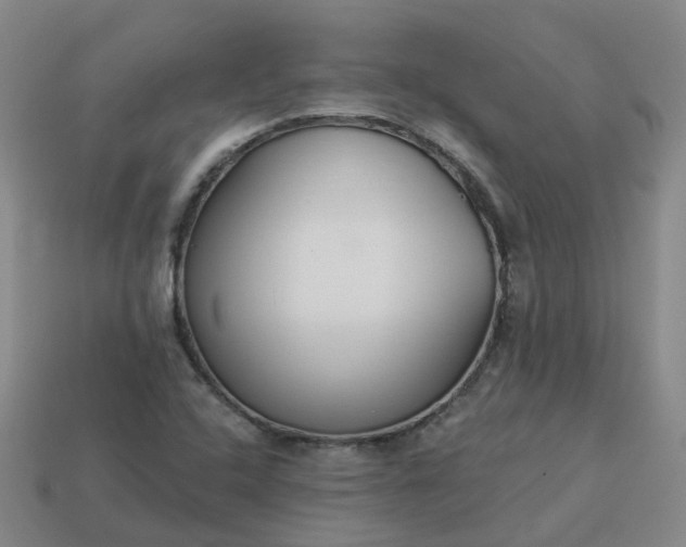 X0000114081408200910191533